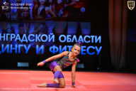 Чемпионат Ленинградской области по бодибилдингу - 2026