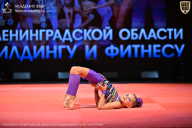 Чемпионат Ленинградской области по бодибилдингу - 2026