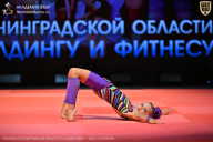 Чемпионат Ленинградской области по бодибилдингу - 2026