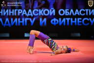 Чемпионат Ленинградской области по бодибилдингу - 2026