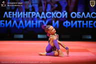 Чемпионат Ленинградской области по бодибилдингу - 2026