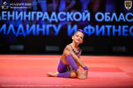 Чемпионат Ленинградской области по бодибилдингу - 2026