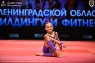 Чемпионат Ленинградской области по бодибилдингу - 2026