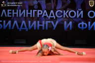 Чемпионат Ленинградской области по бодибилдингу - 2026