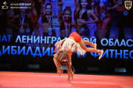 Чемпионат Ленинградской области по бодибилдингу - 2026