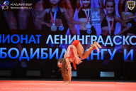 Чемпионат Ленинградской области по бодибилдингу - 2026