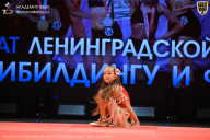 Чемпионат Ленинградской области по бодибилдингу - 2026