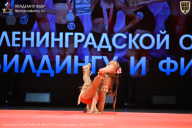 Чемпионат Ленинградской области по бодибилдингу - 2026