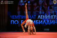 Чемпионат Ленинградской области по бодибилдингу - 2026