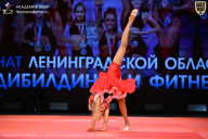 Чемпионат Ленинградской области по бодибилдингу - 2026
