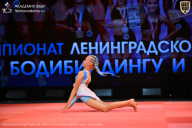 Чемпионат Ленинградской области по бодибилдингу - 2026