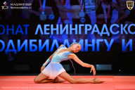 Чемпионат Ленинградской области по бодибилдингу - 2026