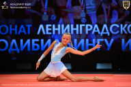 Чемпионат Ленинградской области по бодибилдингу - 2026