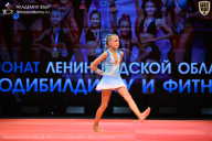 Чемпионат Ленинградской области по бодибилдингу - 2026
