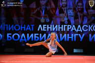 Чемпионат Ленинградской области по бодибилдингу - 2026