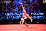 Чемпионат Ленинградской области по бодибилдингу - 2026