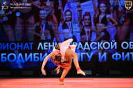 Чемпионат Ленинградской области по бодибилдингу - 2026