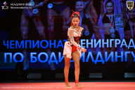 Чемпионат Ленинградской области по бодибилдингу - 2026