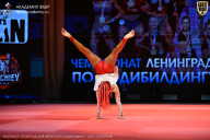 Чемпионат Ленинградской области по бодибилдингу - 2026
