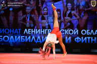 Чемпионат Ленинградской области по бодибилдингу - 2026