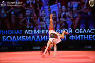 Чемпионат Ленинградской области по бодибилдингу - 2026