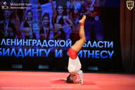 Чемпионат Ленинградской области по бодибилдингу - 2026
