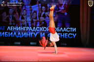 Чемпионат Ленинградской области по бодибилдингу - 2026