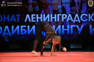 Чемпионат Ленинградской области по бодибилдингу - 2026
