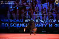 Чемпионат Ленинградской области по бодибилдингу - 2026