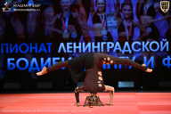 Чемпионат Ленинградской области по бодибилдингу - 2026