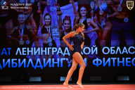 Чемпионат Ленинградской области по бодибилдингу - 2026