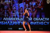 Чемпионат Ленинградской области по бодибилдингу - 2026