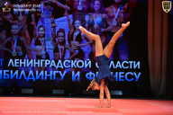 Чемпионат Ленинградской области по бодибилдингу - 2026