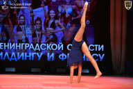 Чемпионат Ленинградской области по бодибилдингу - 2026