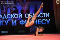 Чемпионат Ленинградской области по бодибилдингу - 2026