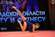 Чемпионат Ленинградской области по бодибилдингу - 2026