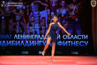 Чемпионат Ленинградской области по бодибилдингу - 2026