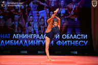Чемпионат Ленинградской области по бодибилдингу - 2026