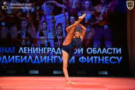 Чемпионат Ленинградской области по бодибилдингу - 2026