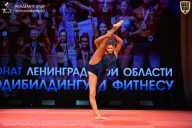 Чемпионат Ленинградской области по бодибилдингу - 2026
