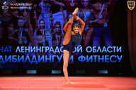 Чемпионат Ленинградской области по бодибилдингу - 2026