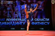 Чемпионат Ленинградской области по бодибилдингу - 2026