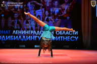 Чемпионат Ленинградской области по бодибилдингу - 2026