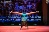 Чемпионат Ленинградской области по бодибилдингу - 2026