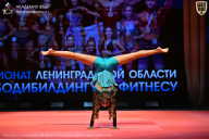 Чемпионат Ленинградской области по бодибилдингу - 2026