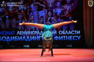Чемпионат Ленинградской области по бодибилдингу - 2026