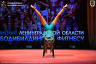 Чемпионат Ленинградской области по бодибилдингу - 2026