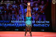 Чемпионат Ленинградской области по бодибилдингу - 2026