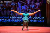 Чемпионат Ленинградской области по бодибилдингу - 2026