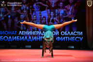 Чемпионат Ленинградской области по бодибилдингу - 2026